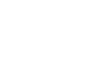 PAYPRO LOGO VAZADA @300x